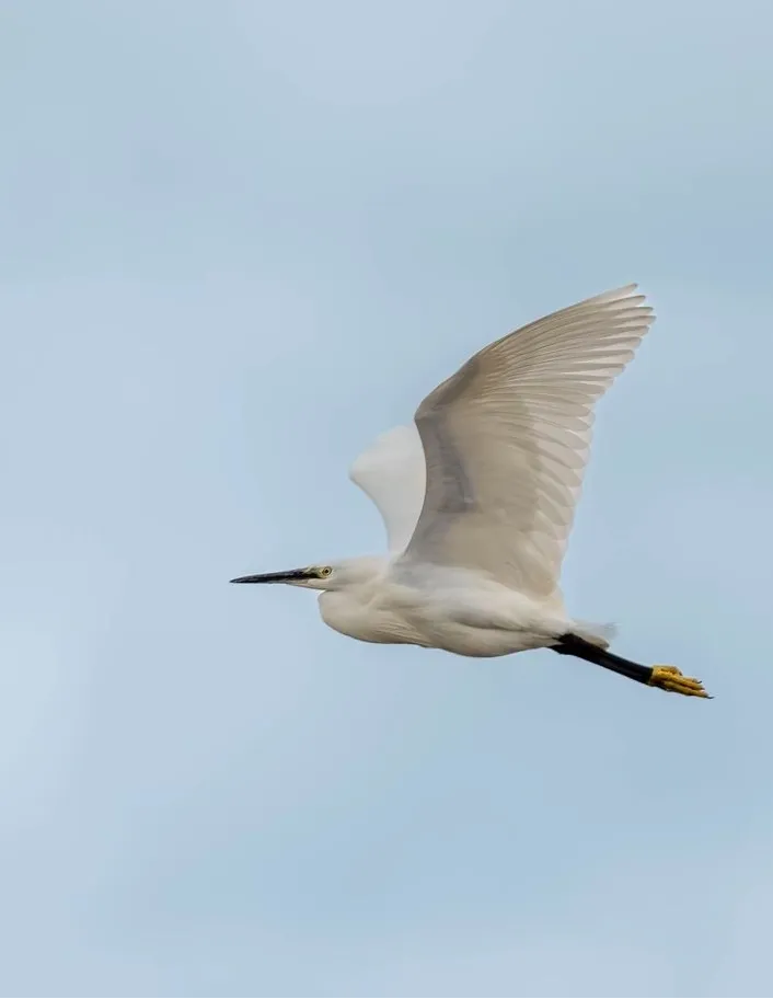 model photo artsy blue