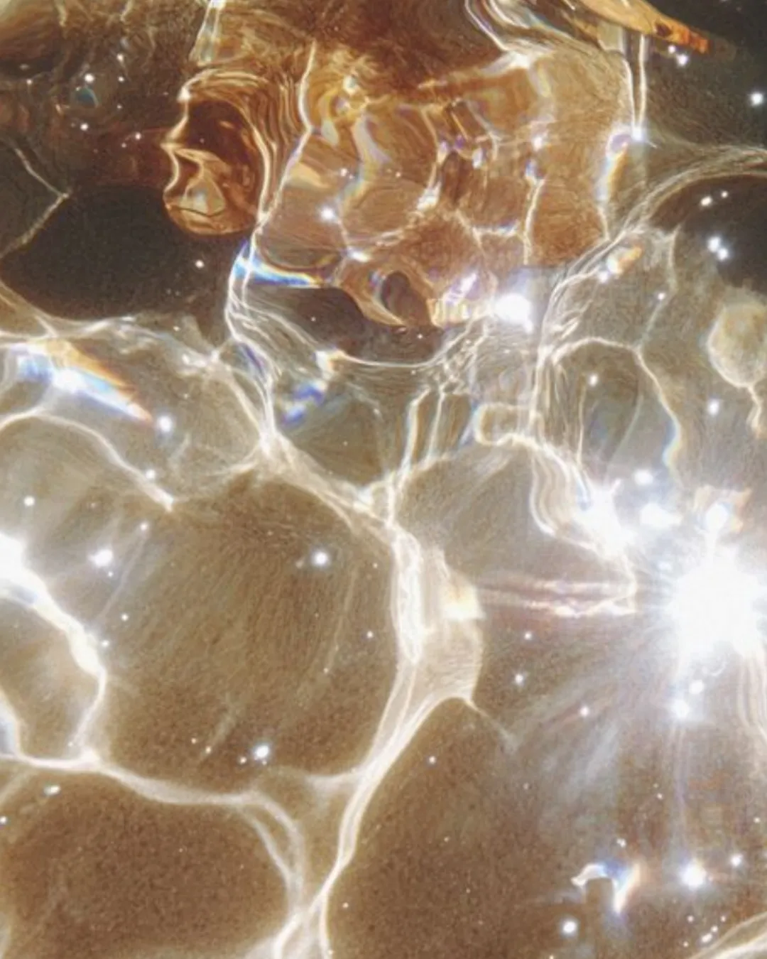 buterfly wings texture